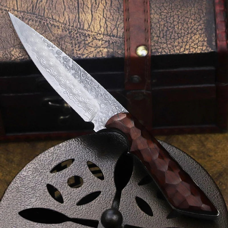 Redwood Japanese Damascus Steel Knife