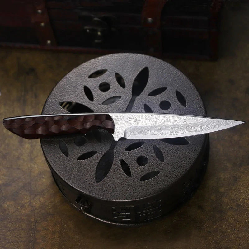Redwood Japanese Damascus Steel Knife